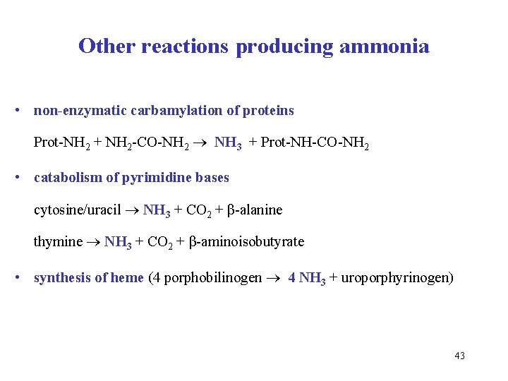 Other reactions producing ammonia • non-enzymatic carbamylation of proteins Prot-NH 2 + NH 2