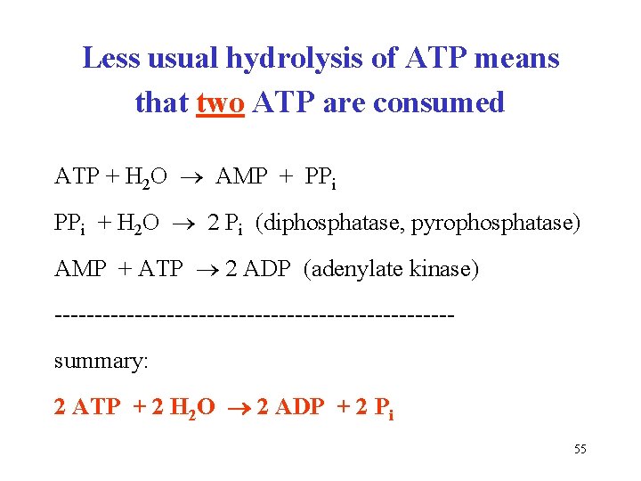 Less usual hydrolysis of ATP means that two ATP are consumed ATP + H