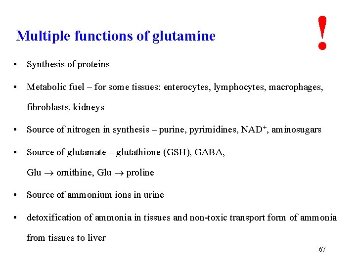 Multiple functions of glutamine • Synthesis of proteins ! • Metabolic fuel – for