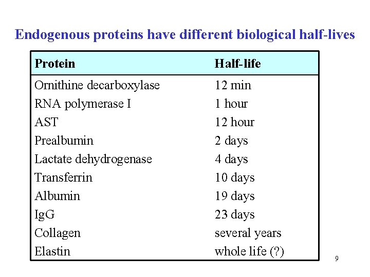 Endogenous proteins have different biological half-lives Protein Half-life Ornithine decarboxylase RNA polymerase I AST