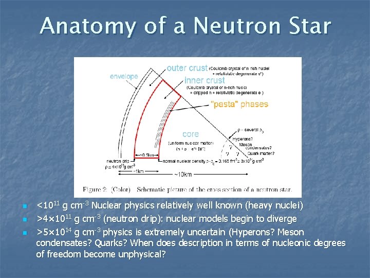 Anatomy of a Neutron Star n n n <1011 g cm-3 Nuclear physics relatively