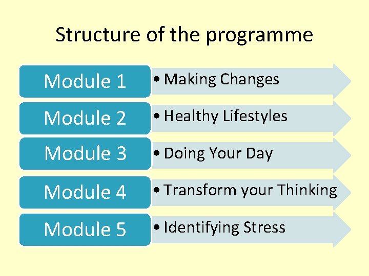 Structure of the programme Module 1 • Making Changes Module 2 • Healthy Lifestyles