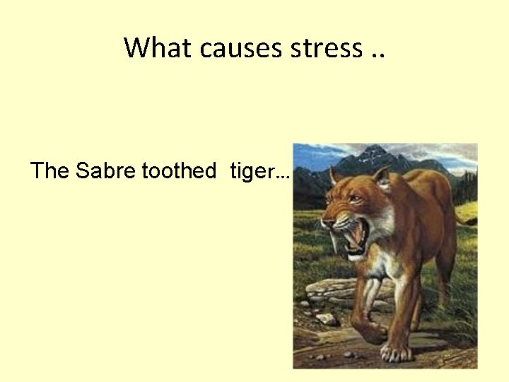 What causes stress. . The Sabre toothed tiger… 