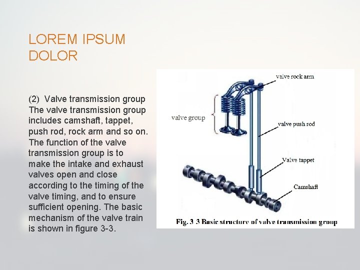LOREM IPSUM DOLOR (2) Valve transmission group The valve transmission group includes camshaft, tappet,