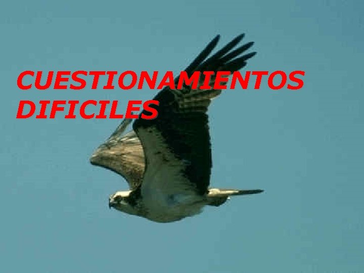 CUESTIONAMIENTOS DIFICILES 