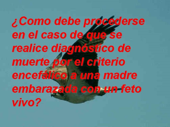 ¿Como debe procederse en el caso de que se realice diagnóstico de muerte por