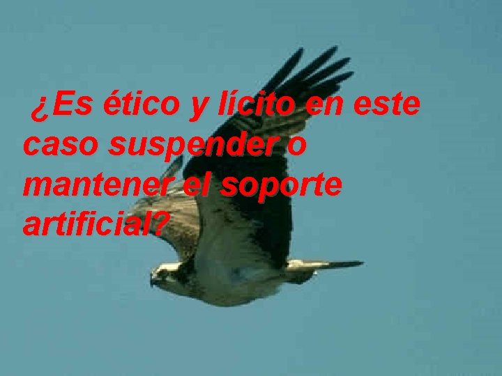 ¿Es ético y lícito en este caso suspender o mantener el soporte artificial? 