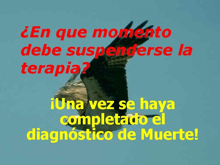 ¿En que momento debe suspenderse la terapia? ¡Una vez se haya completado el diagnóstico