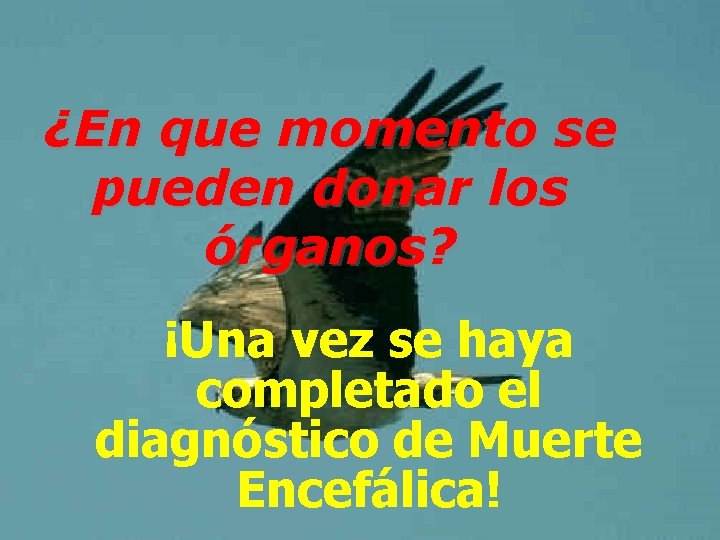¿En que momento se pueden donar los órganos? ¡Una vez se haya completado el