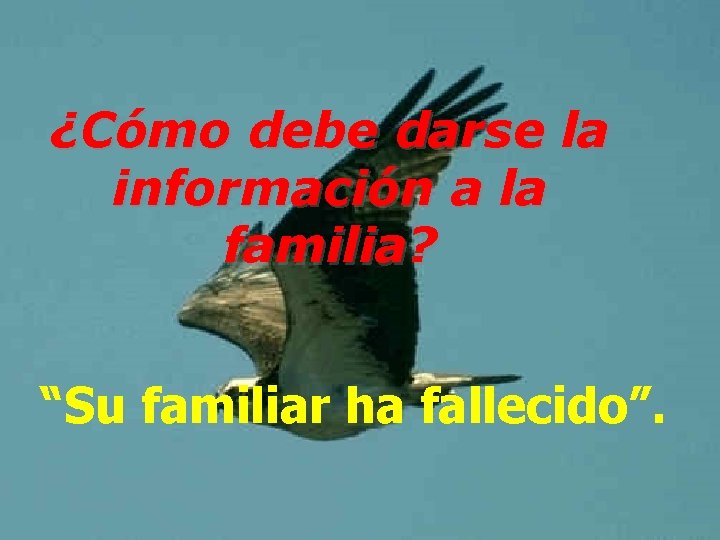 ¿Cómo debe darse la información a la familia? “Su familiar ha fallecido”. 