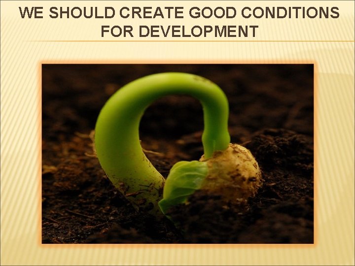 WE SHOULD CREATE GOOD CONDITIONS FOR DEVELOPMENT 