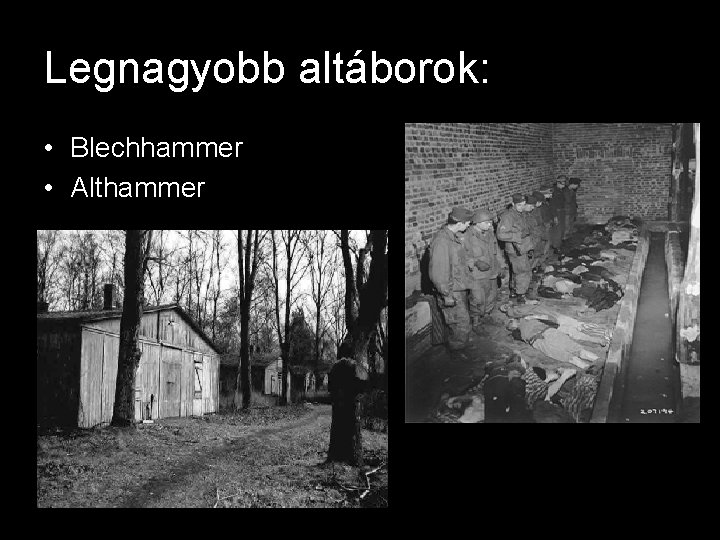 Legnagyobb altáborok: • Blechhammer • Althammer 