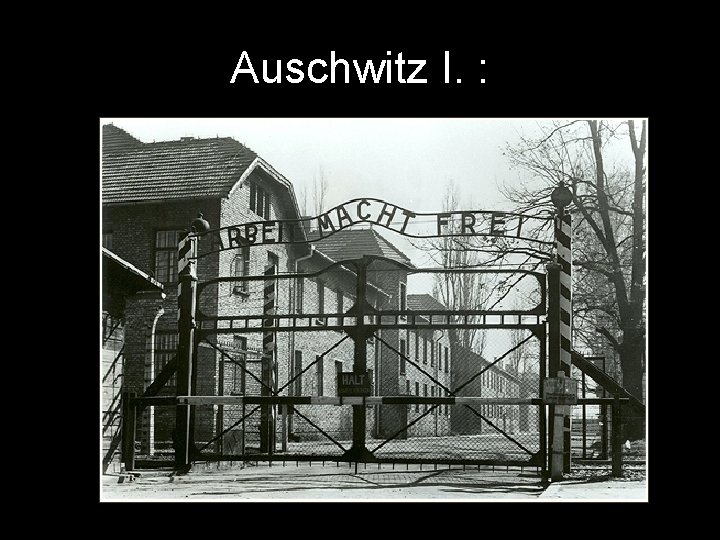 Auschwitz I. : 