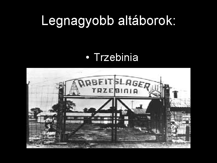 Legnagyobb altáborok: • Trzebinia 