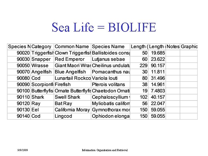 Sea Life = BIOLIFE 9/9/1999 Information Organization and Retrieval 
