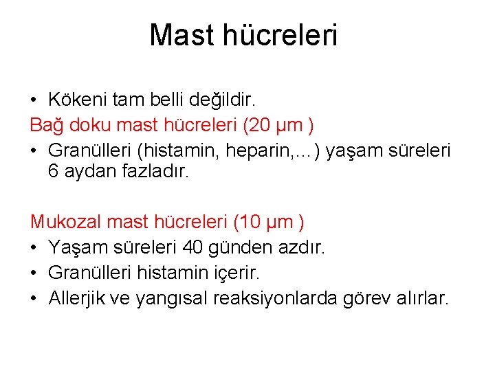 Mast hücreleri • Kökeni tam belli değildir. Bağ doku mast hücreleri (20 µm )