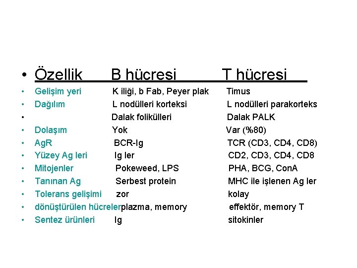  • Özellik • • • Gelişim yeri Dağılım B hücresi K iliği, b