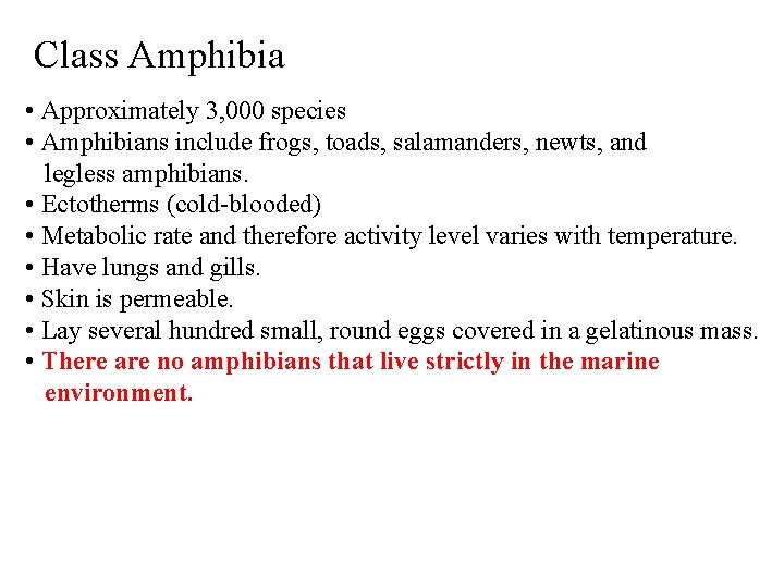 Class Amphibia • Approximately 3, 000 species • Amphibians include frogs, toads, salamanders, newts,