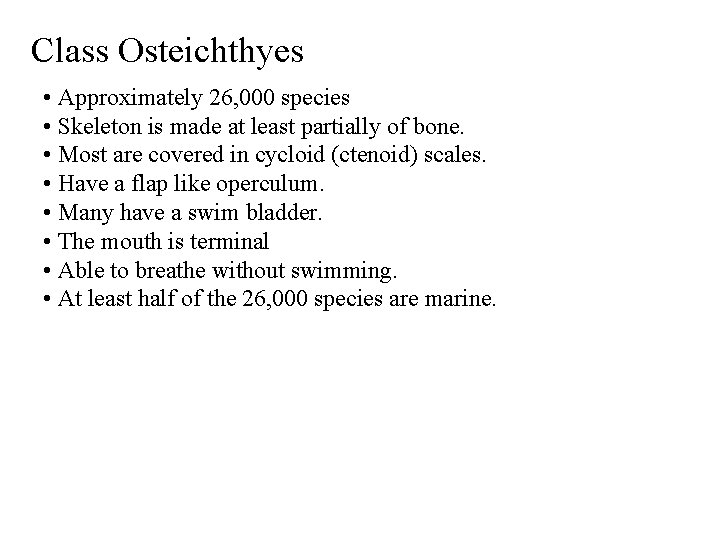 Class Osteichthyes • Approximately 26, 000 species • Skeleton is made at least partially