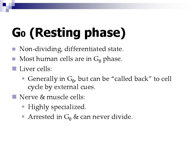 G 0 (Resting phase) Non-dividing, differentiated state. n Most human cells are in G