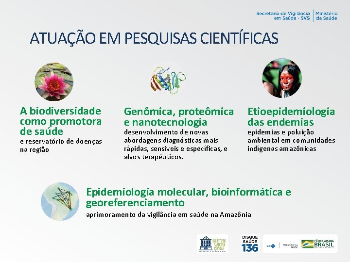 ATUAÇÃO EM PESQUISAS CIENTÍFICAS A biodiversidade como promotora de saúde e reservatório de doenças