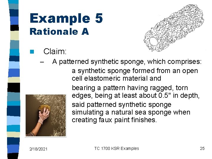 Example 5 Rationale A n Claim: – 2/18/2021 A patterned synthetic sponge, which comprises: