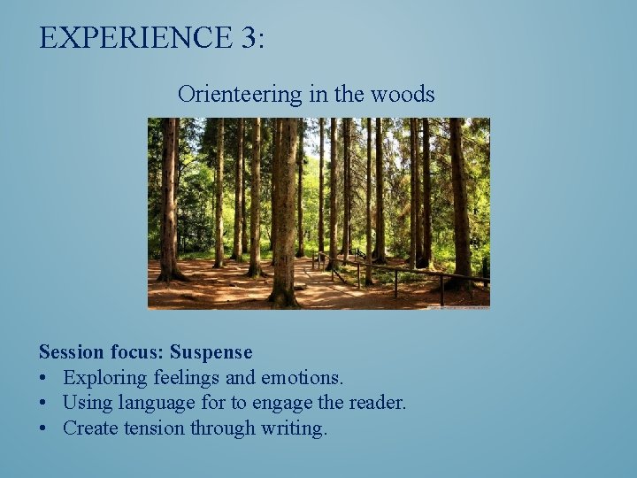 EXPERIENCE 3: Orienteering in the woods Session focus: Suspense • Exploring feelings and emotions.