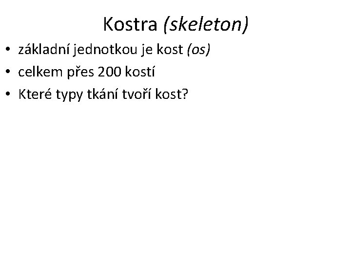 Kostra (skeleton) • základní jednotkou je kost (os) • celkem přes 200 kostí •