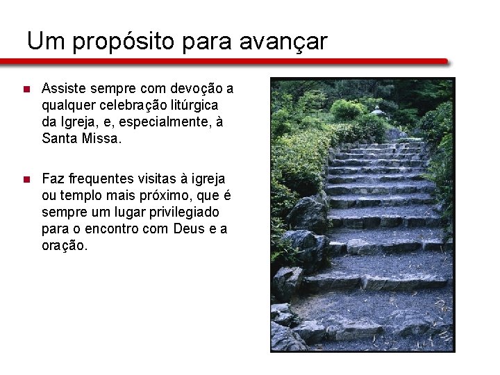 Um propósito para avançar n Assiste sempre com devoção a qualquer celebração litúrgica da