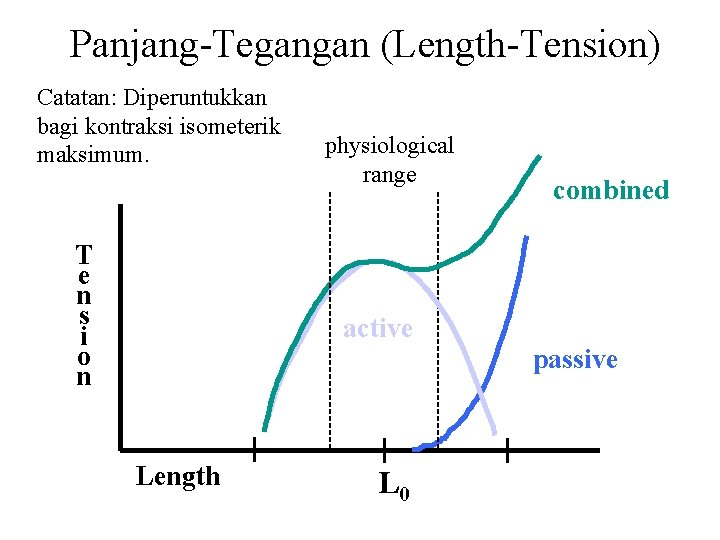 Panjang-Tegangan (Length-Tension) Catatan: Diperuntukkan bagi kontraksi isometerik maksimum. T e n s i o