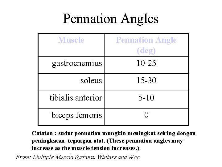 Pennation Angles Muscle gastrocnemius Pennation Angle (deg) 10 -25 soleus 15 -30 tibialis anterior