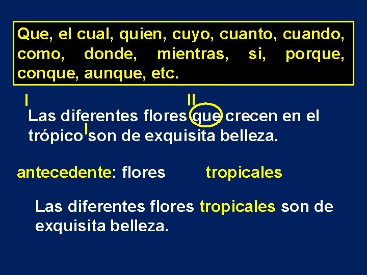 Que, el cual, quien, cuyo, cuanto, cuando, como, donde, mientras, si, porque, conque, aunque,