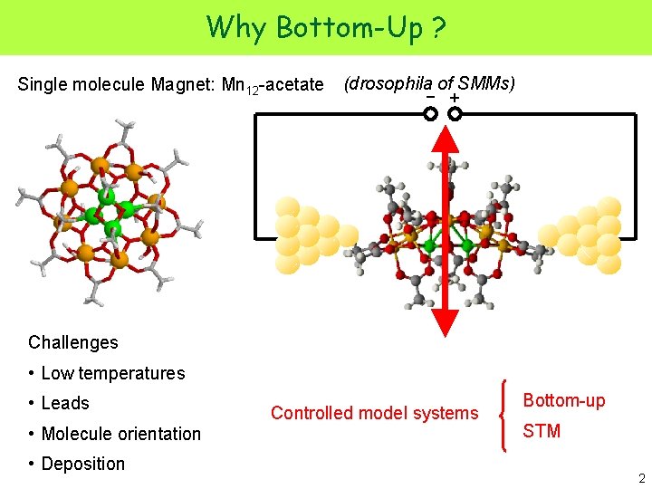 Why Bottom-Up ? Single molecule Magnet: Mn 12 -acetate (drosophila of SMMs) − +