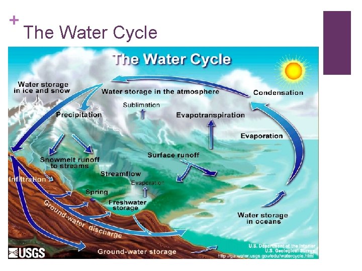 + The Water Cycle 