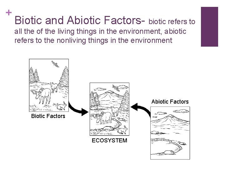 + Biotic and Abiotic Factors- biotic refers to all the of the living things