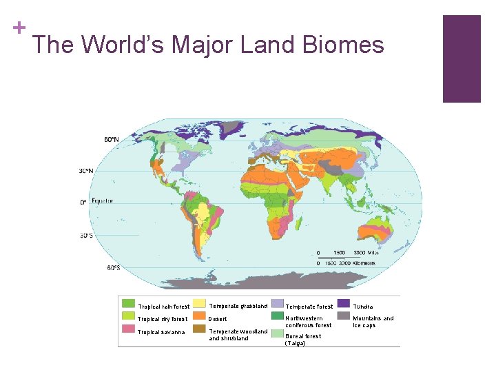 + The World’s Major Land Biomes Tropical rain forest Temperate grassland Temperate forest Tundra