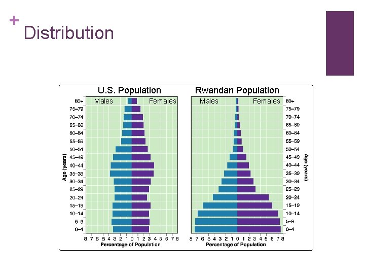 + Distribution U. S. Population Males Females Rwandan Population Males Females 