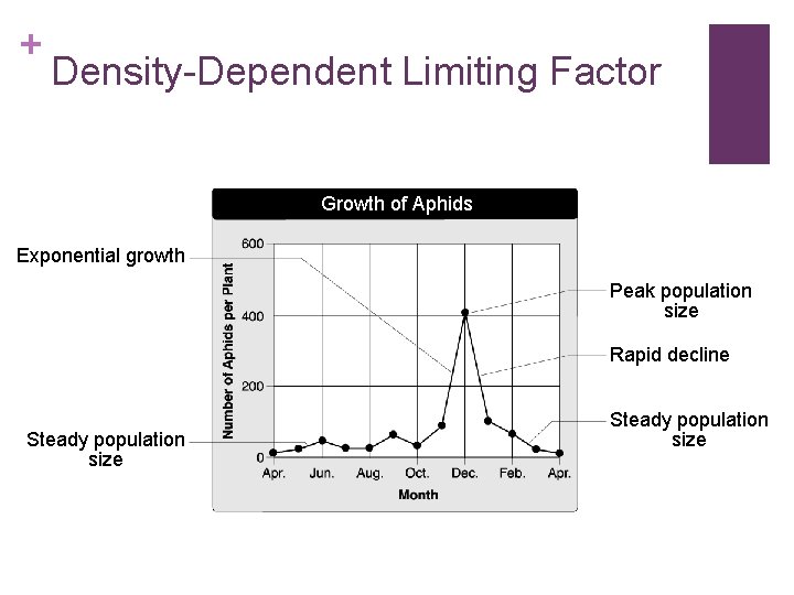 + Density-Dependent Limiting Factor Growth of Aphids Exponential growth Peak population size Rapid decline