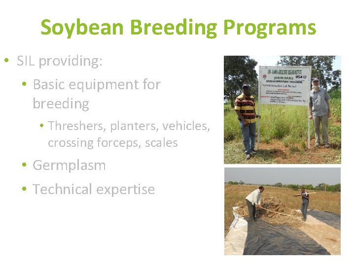 Soybean Breeding Programs • SIL providing: • Basic equipment for breeding • Threshers, planters,