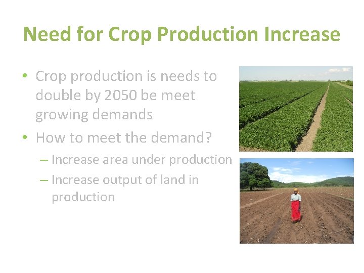 Need for Crop Production Increase • Crop production is needs to double by 2050