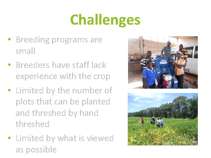 Challenges • Breeding programs are small • Breeders have staff lack experience with the
