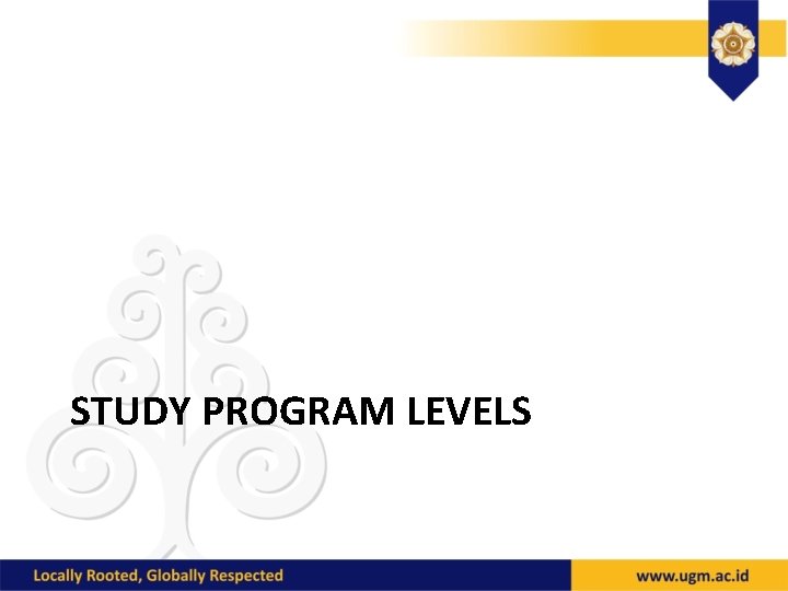 STUDY PROGRAM LEVELS 