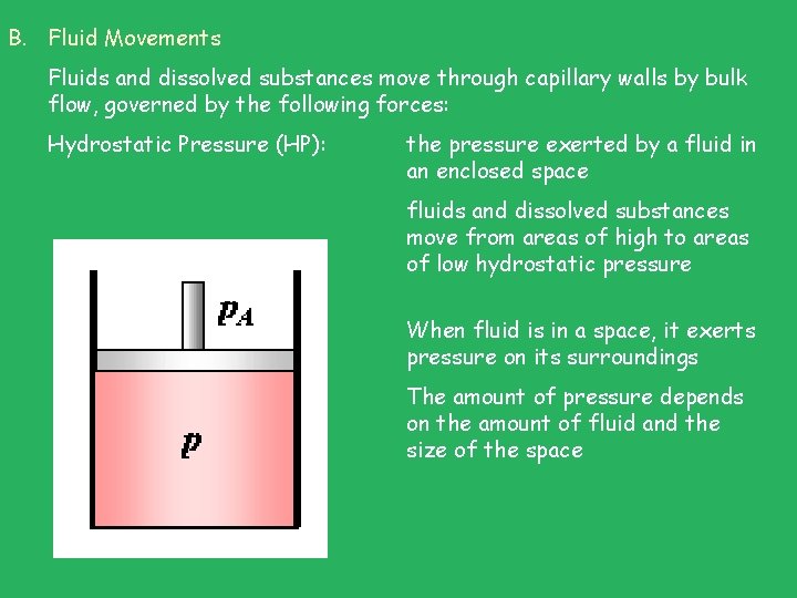 B. Fluid Movements Fluids and dissolved substances move through capillary walls by bulk flow, B. Fluid Movements Fluids and dissolved substances move through capillary walls by bulk flow,