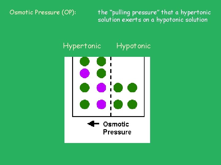 Osmotic Pressure (OP): the “pulling pressure” that a hypertonic solution exerts on a hypotonic Osmotic Pressure (OP): the “pulling pressure” that a hypertonic solution exerts on a hypotonic