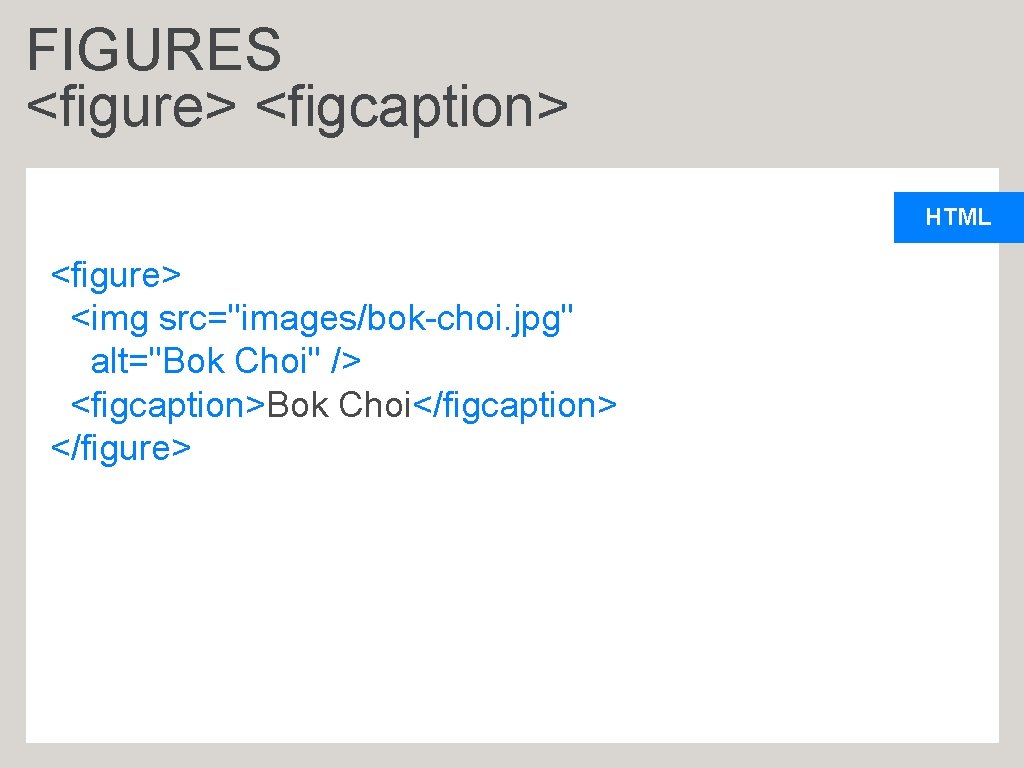 FIGURES <figure> <figcaption> HTML <figure> <img src="images/bok-choi. jpg" alt="Bok Choi" /> <figcaption>Bok Choi</figcaption> </figure>