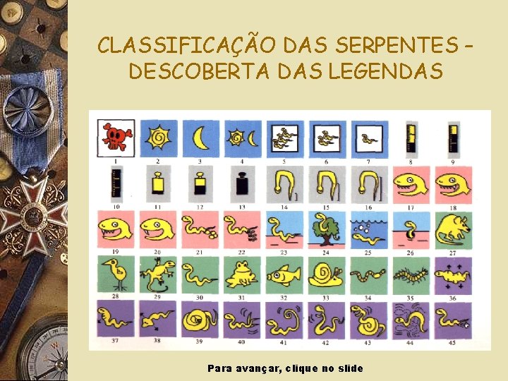 CLASSIFICAÇÃO DAS SERPENTES – DESCOBERTA DAS LEGENDAS Para avançar, clique no slide 