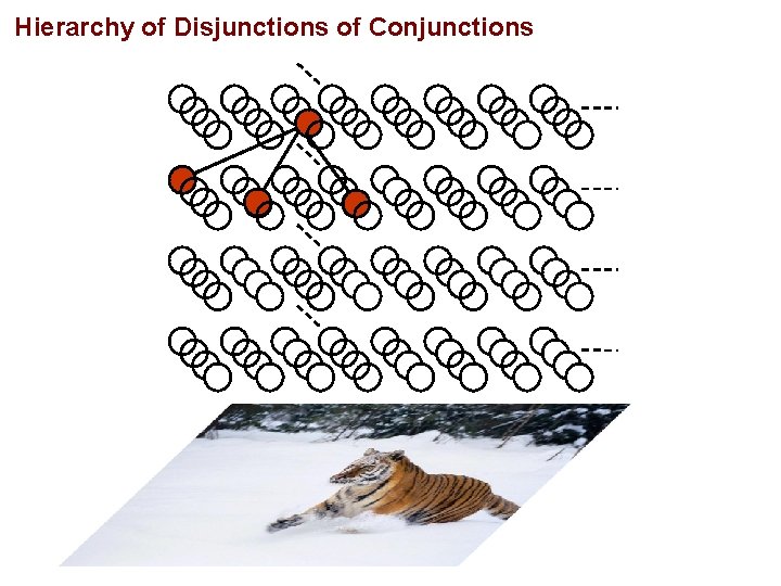 Hierarchy of Disjunctions of Conjunctions 