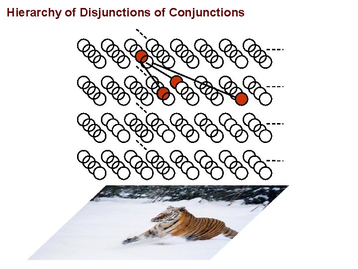 Hierarchy of Disjunctions of Conjunctions 