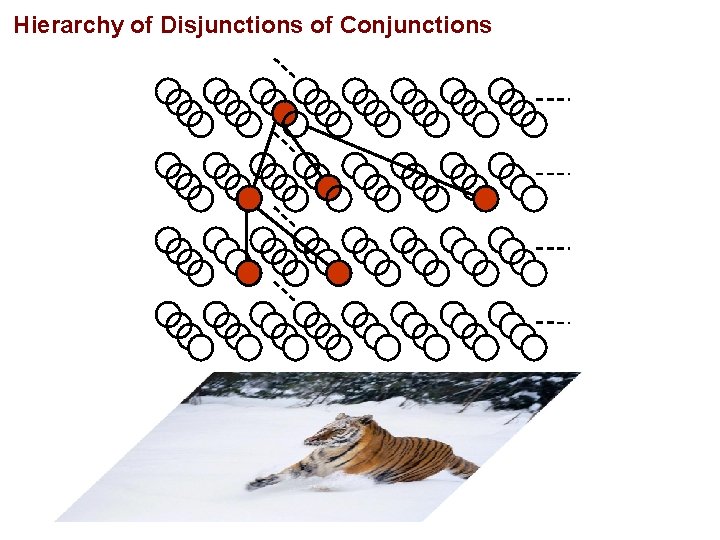 Hierarchy of Disjunctions of Conjunctions 