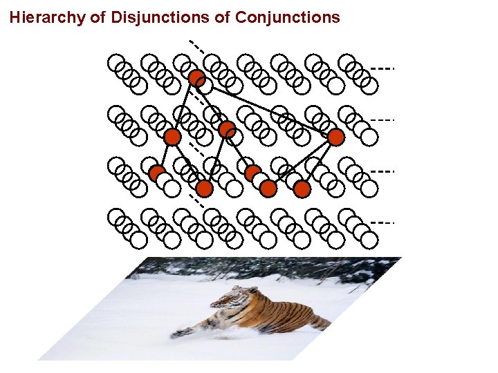 Hierarchy of Disjunctions of Conjunctions 